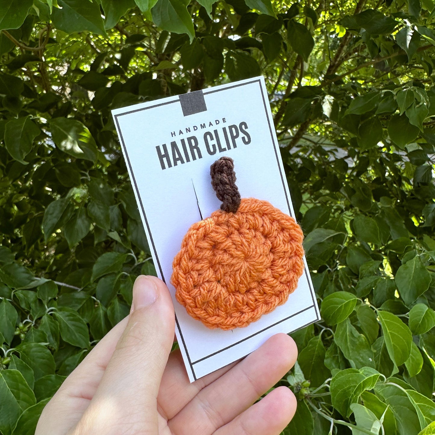 Pumpkin Piggie Clips