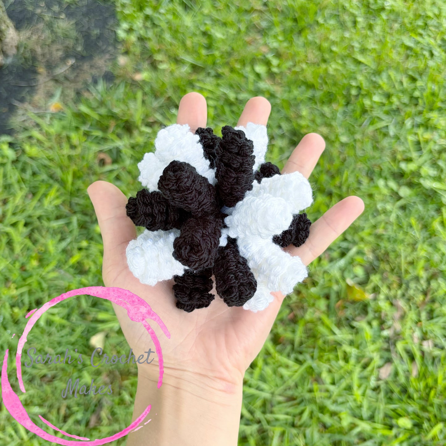Black & White Poppers on CLIPS (ADD 2 FOR PIGGIES)