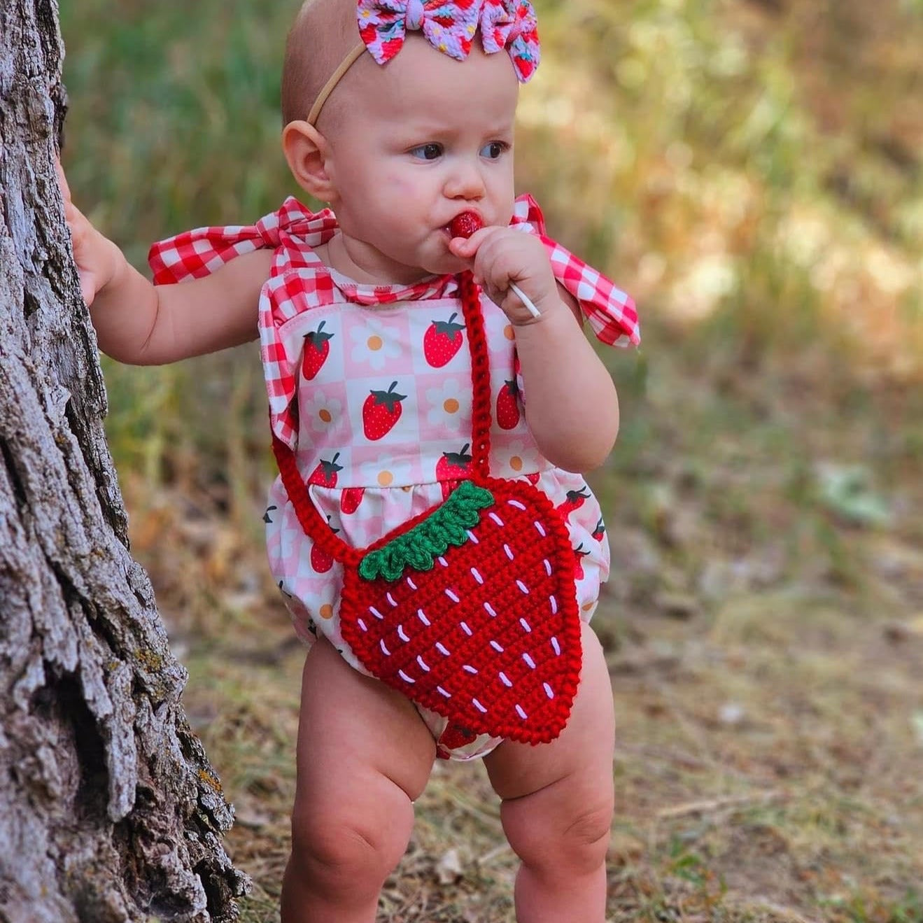 Strawberry Purse